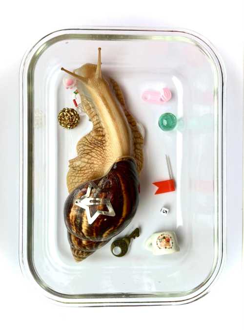 Read: lost and found & the poetics of fragility